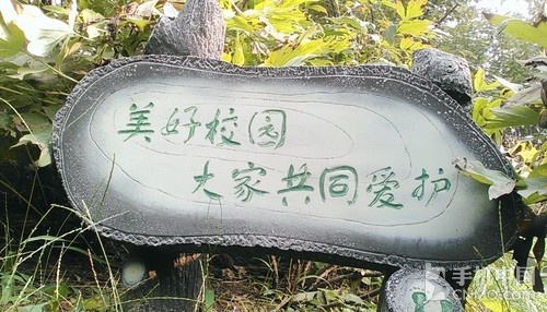 高清屏时尚智能强机 HTC One mini评测