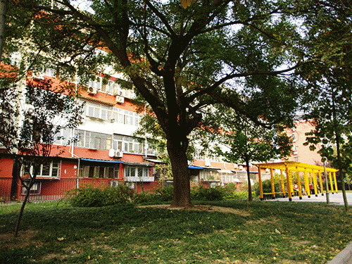 连拍的别样精彩 裸眼3D照片制作小介绍_数码