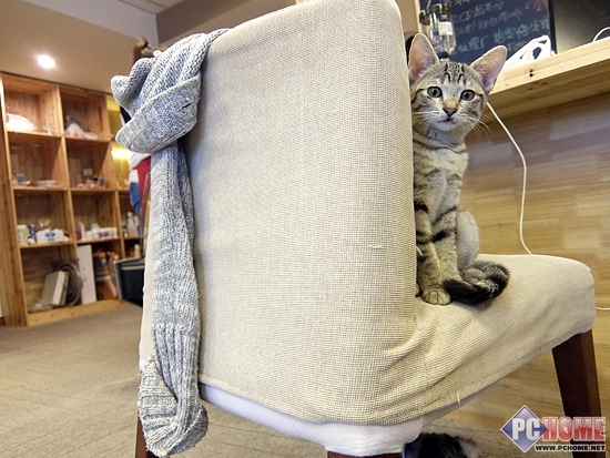 崇尚简约性能均衡 富士便携卡片XQ1评测(5)_数