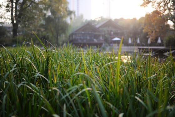 进击的全画幅尼康D610单反相机测试(5)