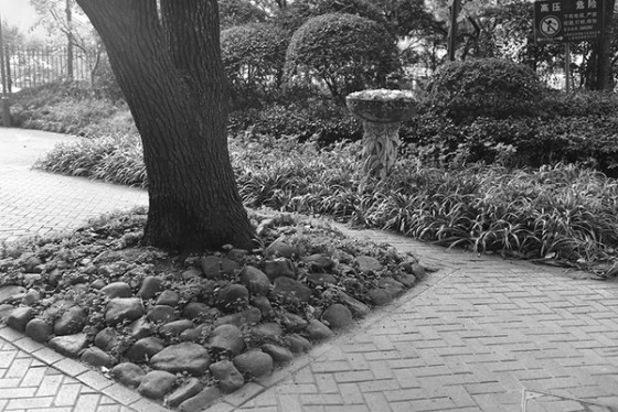 ������ȫ�����῵D610�����������(4)