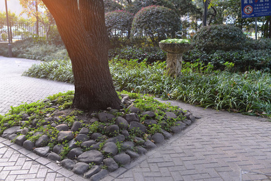 ������ȫ�����῵D610�����������(4)