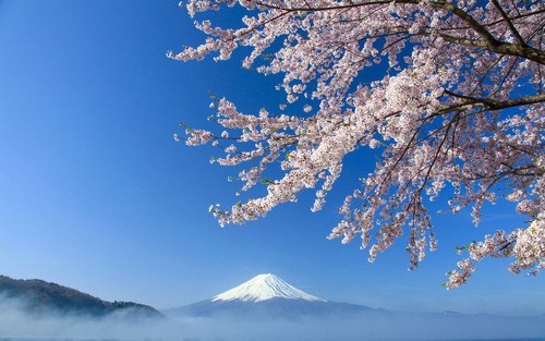 宛如仙境 春夏秋冬四季的富士山美景图