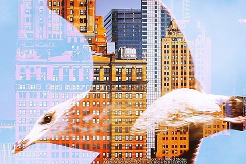 人像摄影师必备技巧 多重曝光进阶课程 (3)|多重