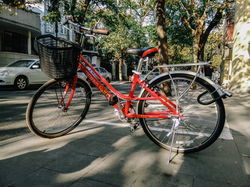 �������� ���ֻ������ĳ��ÿ��Ľ�ͷ��Ӱ