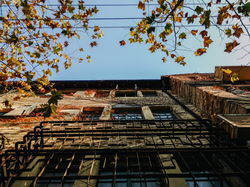 �������� ���ֻ������ĳ��ÿ��Ľ�ͷ��Ӱ