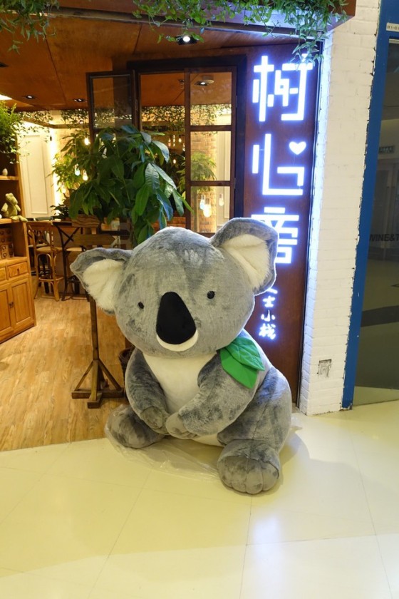 成熟进化索尼新黑卡RX100M3深度测试(11)