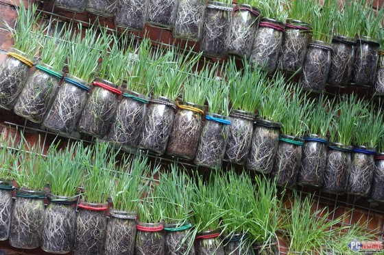 大火翻烘眼界全开索尼RX100M3深度评测(11)