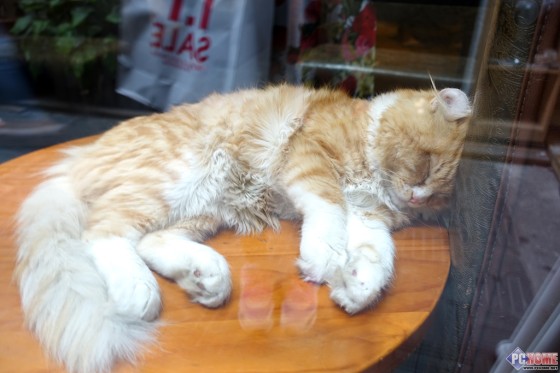 大火翻烘眼界全开索尼RX100M3深度评测(11)