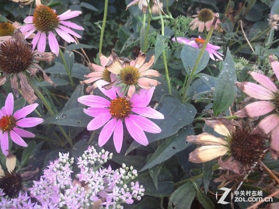 硬朗精英专业范儿 联想ThinkPad 10评测