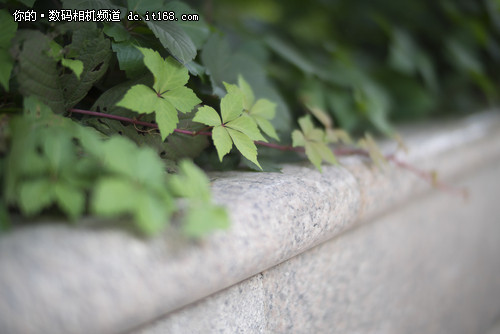 中一光学F0.95意味着什么?