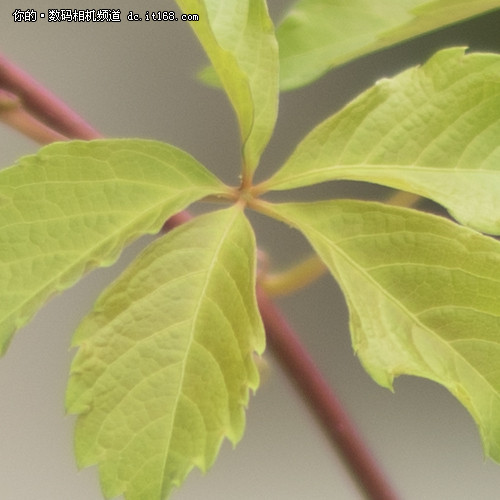 中一光学F0.95意味着什么?