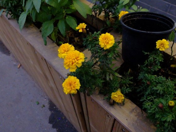 慢拍节奏复古风格 富士X30相机深度评测(10)|富