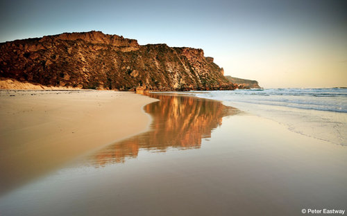 小身材高画质飞思35mmAFf/3.5试拍评测