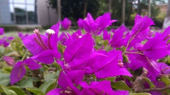 1300������+ȫ��������HTCM8Eye����