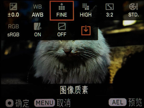来自天顶星适马黑科技dp1Quattro试用(6)