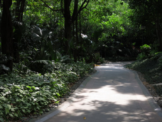 便携最紧要能装进口袋的旅行相机盘点(3)