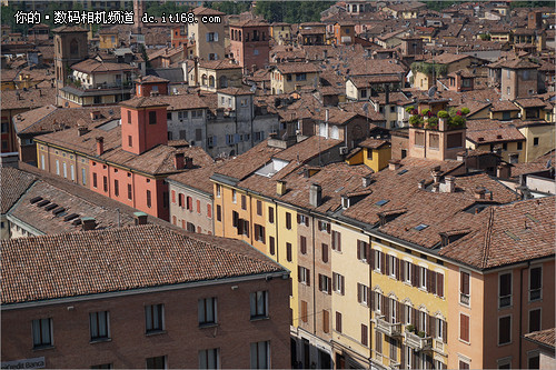 简单又实用过年回家送父母的相机推荐(3)