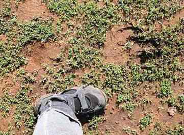 �Ƽ�ʱ��_����˹���֡�ѩ�ˡ� ������ë���߹�3��(ͼ)