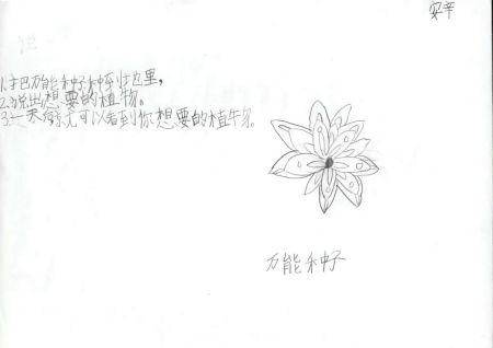 青少年创意设计大赛作品:万能种子_科学探索