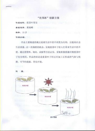 青少年创意设计大赛作品:废菜叶变宝_科学探索