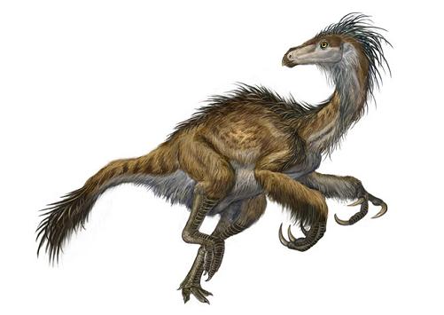 1.25亿年前恐龙穿着华丽原始羽绒服(图)_科学