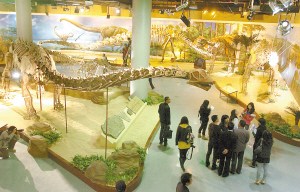 科技时代_专家解释恐龙为何个子大：恐龙一生都在长个头 