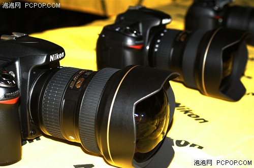 ж콢῵D300߸ʵƬ