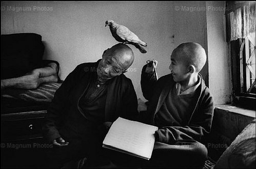 MartineFranck�롶TibetanTulkus��