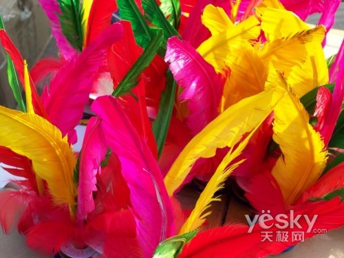 ˫�ض���´��������V1253ɨ��չ����