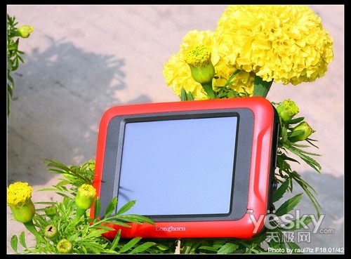 ԴԷʶGOGO2008ͼ