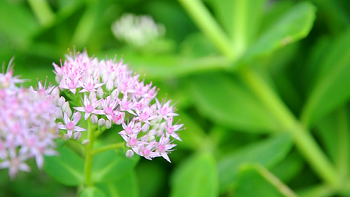 专业单反玩票DV 尼康革新之作D90评测_数码