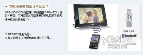 奢华外观索尼数码相框V900降价100元