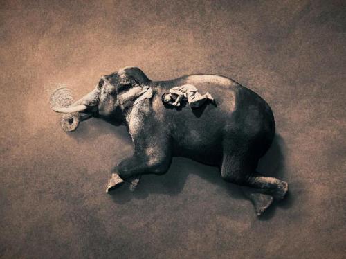 超越世俗的影像交响诗考伯特尘与雪作品欣赏_