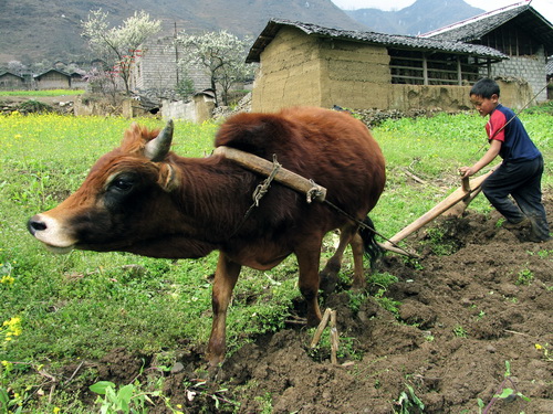 2010佳能感动典藏摄影大赛获奖作品展示_数码_科技时代_新浪网