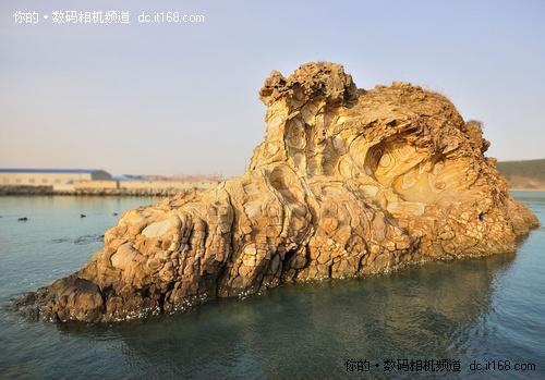 一镜悠游佳能550D配18-200烟墩角拍天鹅(5)