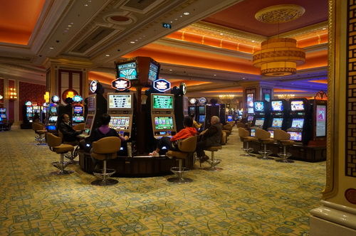 500彩票网- 彩票开奖查询- 体彩专家分析足彩比分直播平台