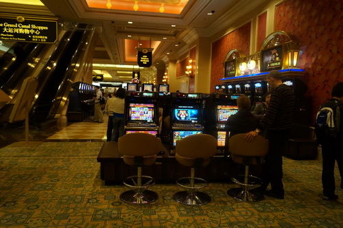 500彩票网- 彩票开奖查询- 体彩专家分析足彩比分直播平台