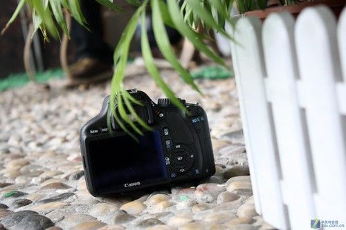 入门菜鸟实惠之选佳能550D套机热销