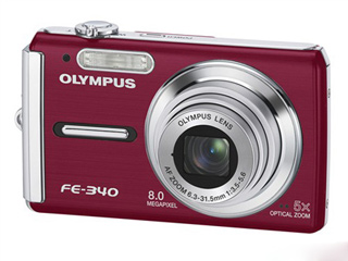 ���ְ�˹FE340