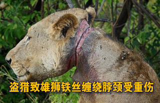 http://tech.sina.com.cn/d/2012-05-23/07477150795.shtml