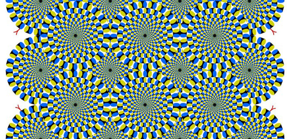 科学探索_新浪科技_新浪网