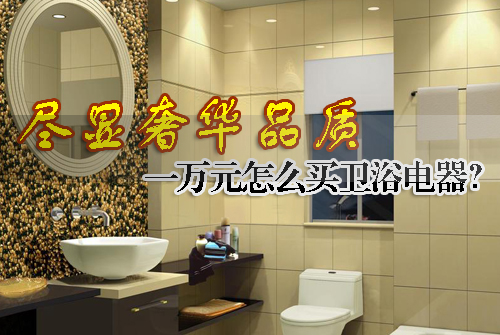 尽显奢华品质一万元怎么买卫浴电器?