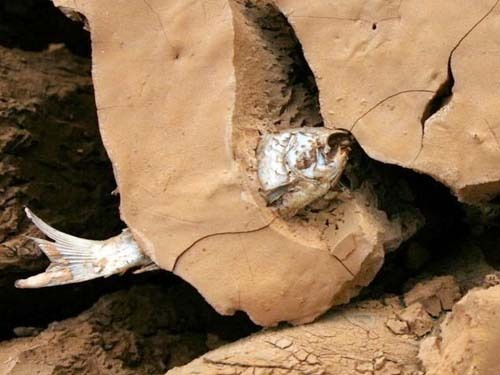 都是抗旱先锋带节水功能洗衣机精选