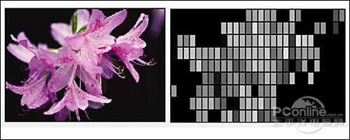 画质至上论!细数那些直下式LED背光电视