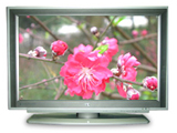 TCL LCD 1703A