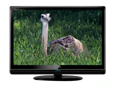 ���� TLM42V67PK