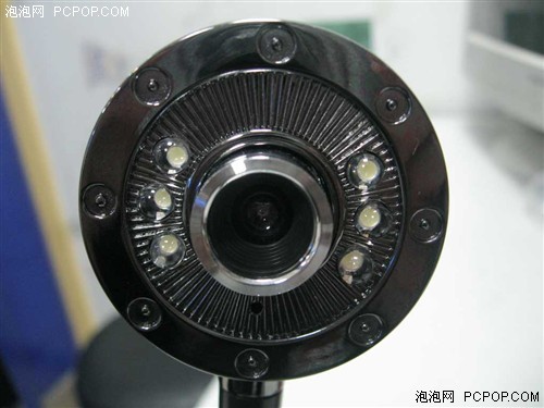 怎能不爱你?蓝色妖姬招财进宝仅80元