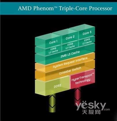 ����ռ������˿�ʼAMD����8450����