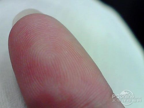 蓝色妖姬C900帆船 贺岁档的最佳伙伴